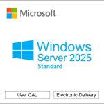 Windows Server 2025 Standard edition with User CAL and electronic delivery labels