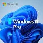 Microsoft Windows 11 Pro